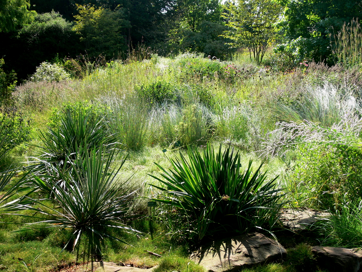 Präriegarten Sichtungsgarten Hermannshof